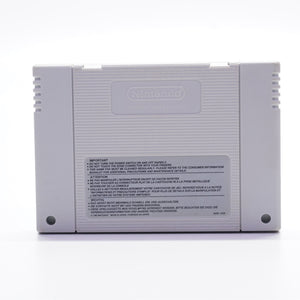 Donkey Kong Country 2 (Super Nintendo)