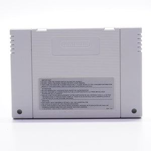 Donkey Kong Country 3 (Super Nintendo)