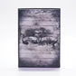 Assassin's Creed III [Join or Die Edition] (Xbox 360)